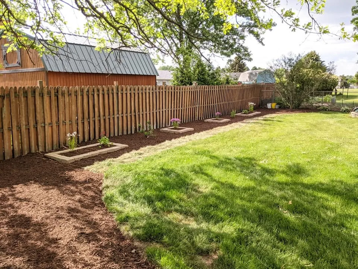 Landscape bed after planting with shrubs and fresh mulch