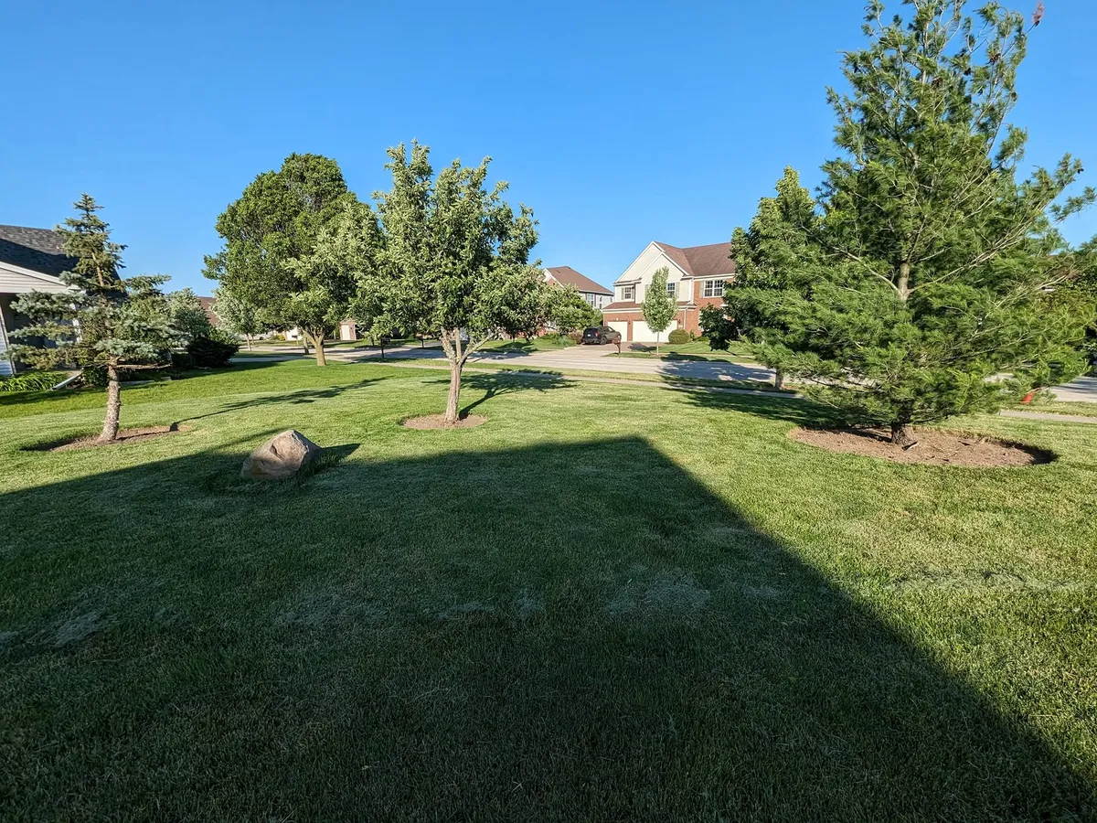 Landscape preparation with beds cleaned out and spade edging cut in